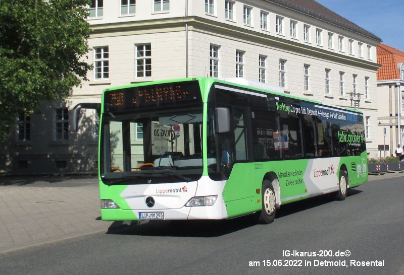 LIP-MM 295